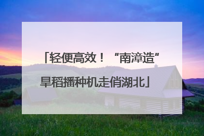 轻便高效！“南漳造”旱稻播种机走俏湖北