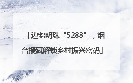 边疆明珠“5288”，烟台援藏解锁乡村振兴密码