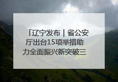 辽宁发布｜省公安厅出台15项举措助力全面振兴新突破三年行动决胜之战