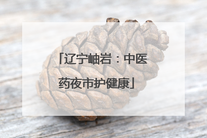 辽宁岫岩：中医药夜市护健康