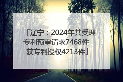 辽宁：2024年共受理专利预审请求7468件 获专利授权4213件