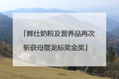 辉仕奶粉及营养品再次斩获母婴龙标奖金奖