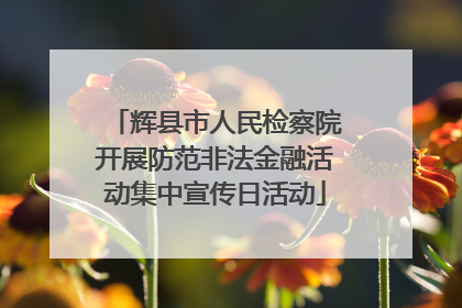 辉县市人民检察院开展防范非法金融活动集中宣传日活动