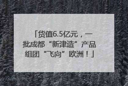 货值6.5亿元，一批成都“新津造”产品组团“飞向”欧洲！