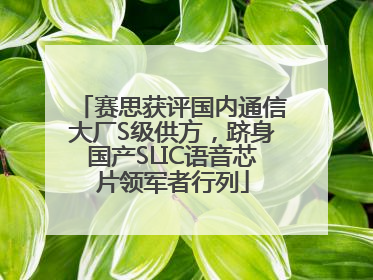 赛思获评国内通信大厂S级供方，跻身国产SLIC语音芯片领军者行列