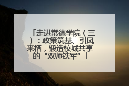 走进常德学院（三）：政策筑基、引凤来栖，锻造校城共享的“双师铁军”