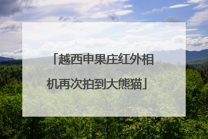 越西申果庄红外相机再次拍到大熊猫