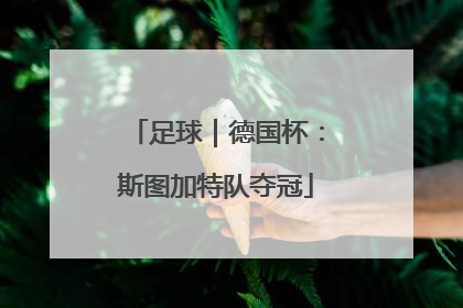 足球｜德国杯：斯图加特队夺冠