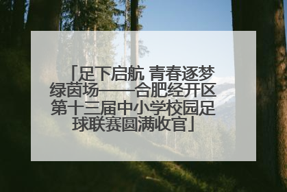 足下启航 青春逐梦绿茵场——合肥经开区第十三届中小学校园足球联赛圆满收官