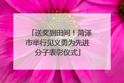 送奖到田间！菏泽市举行见义勇为先进分子表彰仪式