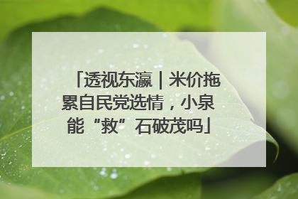 透视东瀛｜米价拖累自民党选情，小泉能“救”石破茂吗