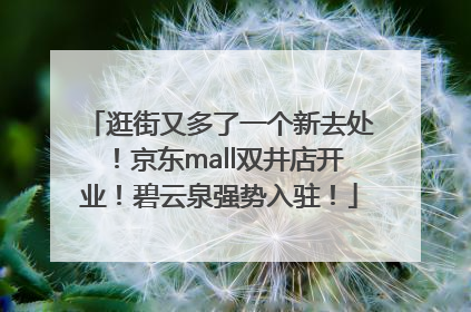 逛街又多了一个新去处！京东mall双井店开业！碧云泉强势入驻！