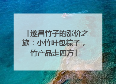 遂昌竹子的涨价之旅：小竹叶包粽子，竹产品走四方