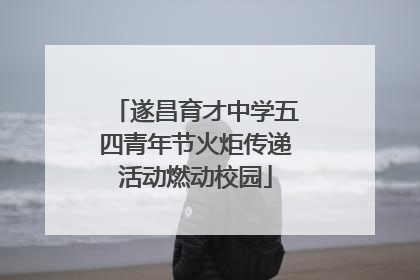 遂昌育才中学五四青年节火炬传递活动燃动校园