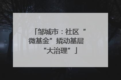 邹城市：社区“微基金”撬动基层“大治理”