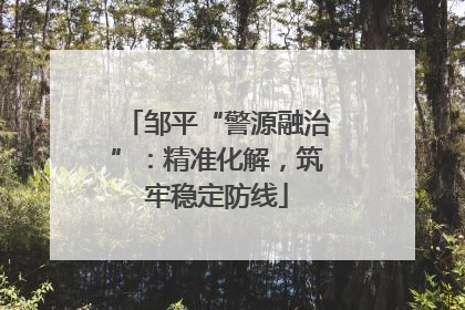 邹平“警源融治”：精准化解，筑牢稳定防线