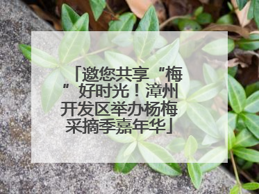 邀您共享“梅”好时光！漳州开发区举办杨梅采摘季嘉年华