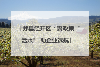 郏县经开区：聚政策“活水” 助企业远航