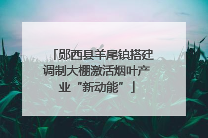 郧西县羊尾镇搭建调制大棚激活烟叶产业“新动能”