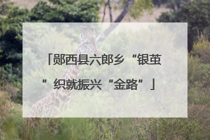 郧西县六郎乡“银茧”织就振兴“金路”
