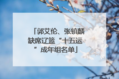 郭艾伦、张镇麟缺席辽篮“十五运”成年组名单