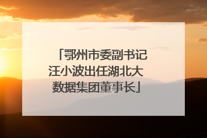 鄂州市委副书记汪小波出任湖北大数据集团董事长