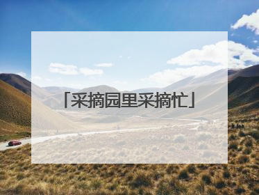 采摘园里采摘忙