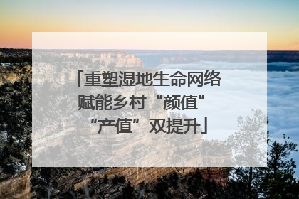 重塑湿地生命网络 赋能乡村“颜值”“产值”双提升