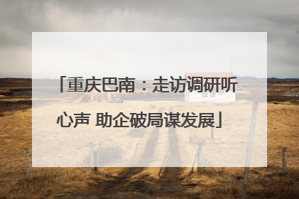 重庆巴南：走访调研听心声 助企破局谋发展