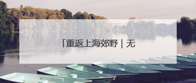 重返上海郊野｜无斑雨蛙“回乡记”