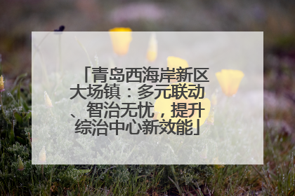 青岛西海岸新区大场镇：多元联动、智治无忧，提升综治中心新效能