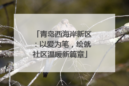青岛西海岸新区：以爱为笔，绘就社区温暖新篇章