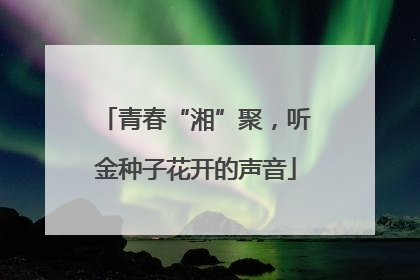 青春“湘”聚，听金种子花开的声音