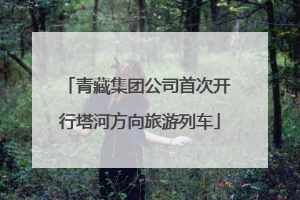 青藏集团公司首次开行塔河方向旅游列车