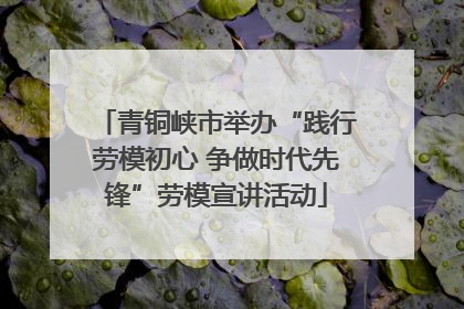 青铜峡市举办“践行劳模初心 争做时代先锋”劳模宣讲活动