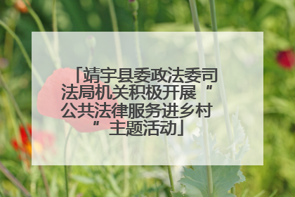 靖宇县委政法委司法局机关积极开展“公共法律服务进乡村”主题活动