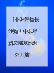 非洲好物长沙购！中非经贸总部基地对外开放
