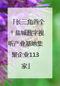 长三角首个！盐城数字视听产业基地集聚企业113家