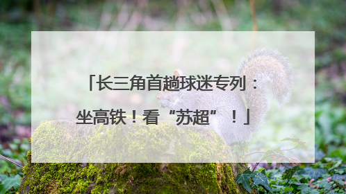 长三角首趟球迷专列：坐高铁！看“苏超”！