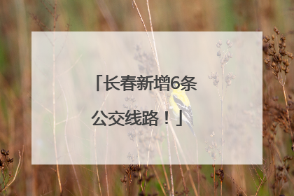 长春新增6条公交线路！