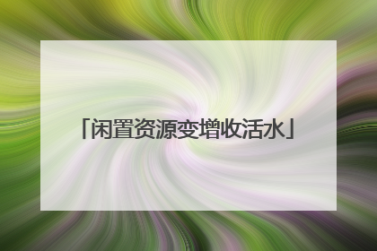 闲置资源变增收活水