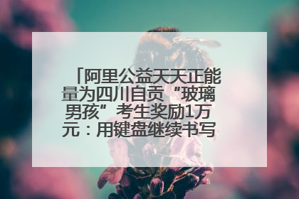 阿里公益天天正能量为四川自贡“玻璃男孩”考生奖励1万元：用键盘继续书写不设限的人生