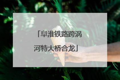 阜淮铁路跨涡河特大桥合龙