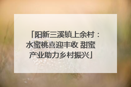 阳新三溪镇上余村：水蜜桃喜迎丰收 甜蜜产业助力乡村振兴