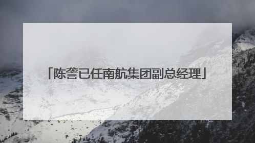 陈詟已任南航集团副总经理