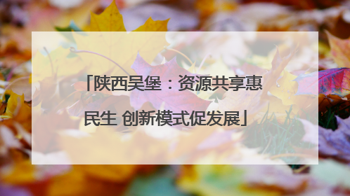 陕西吴堡：资源共享惠民生 创新模式促发展