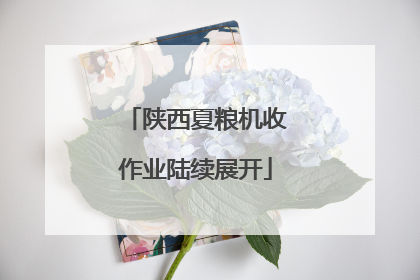 陕西夏粮机收作业陆续展开