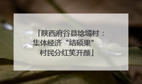 陕西府谷县埝墕村：集体经济“结硕果” 村民分红笑开颜