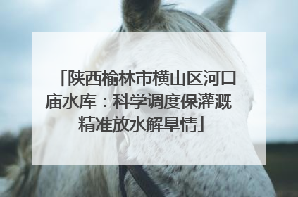 陕西榆林市横山区河口庙水库：科学调度保灌溉 精准放水解旱情