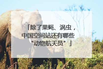 除了果蝇、涡虫，中国空间站还有哪些“动物航天员”